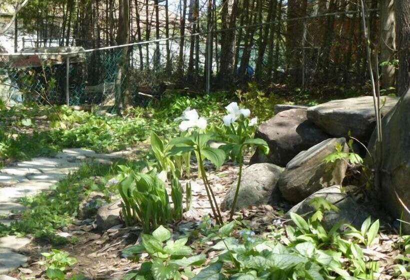 A Muskoka Dream Catcher Bed & Breakfast