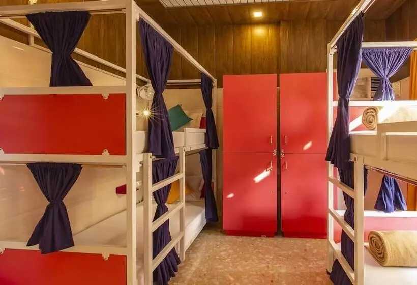 Madpackers Amritsar   Hostel