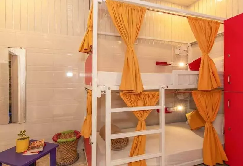Madpackers Amritsar   Hostel