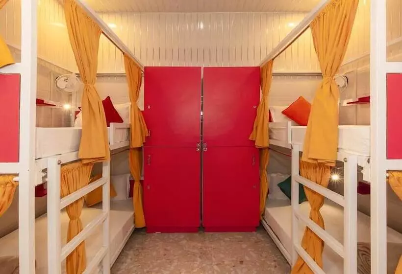Madpackers Amritsar   Hostel