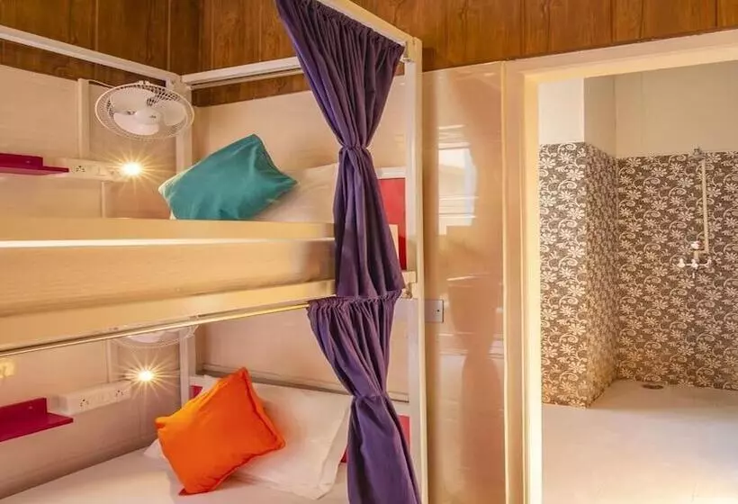 Madpackers Amritsar   Hostel