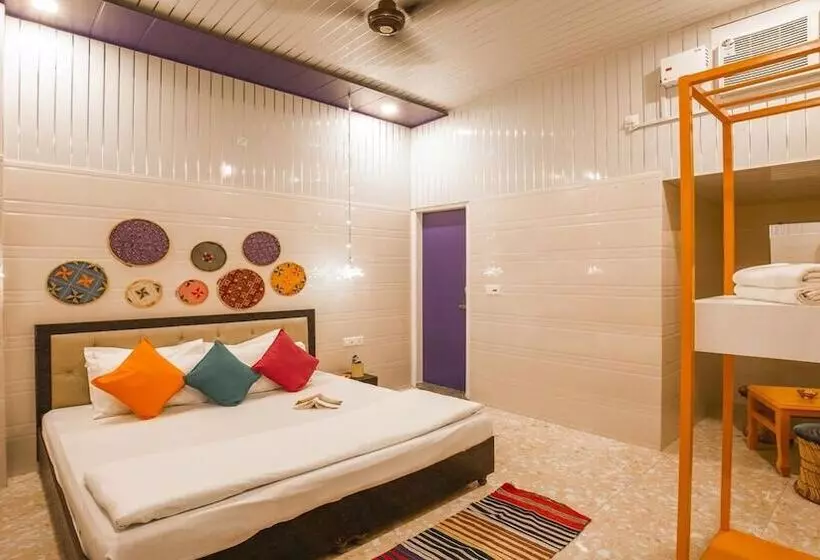 Madpackers Amritsar   Hostel