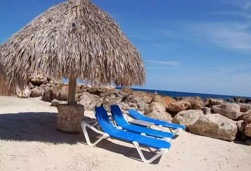 هتل Ocean Resort Apartment Pelican