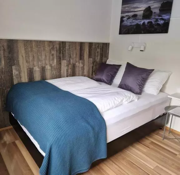 هتل Guesthouse Mikael