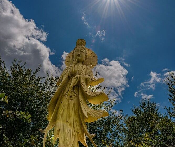 Otel Mandala Das águas