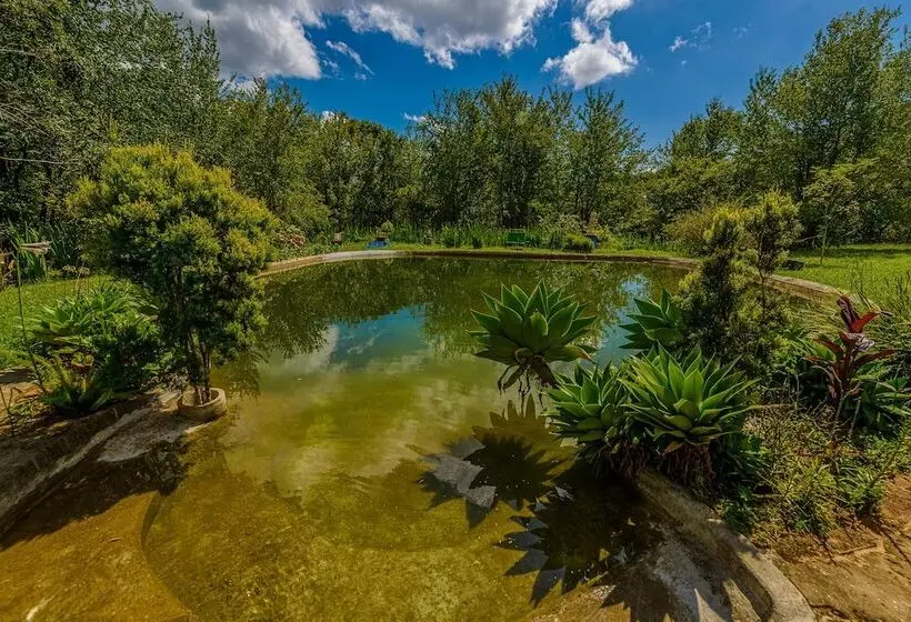 Hotelli Mandala Das águas