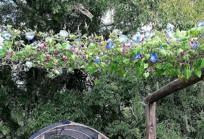 Tiny House Garden   Praia Grande   Sc