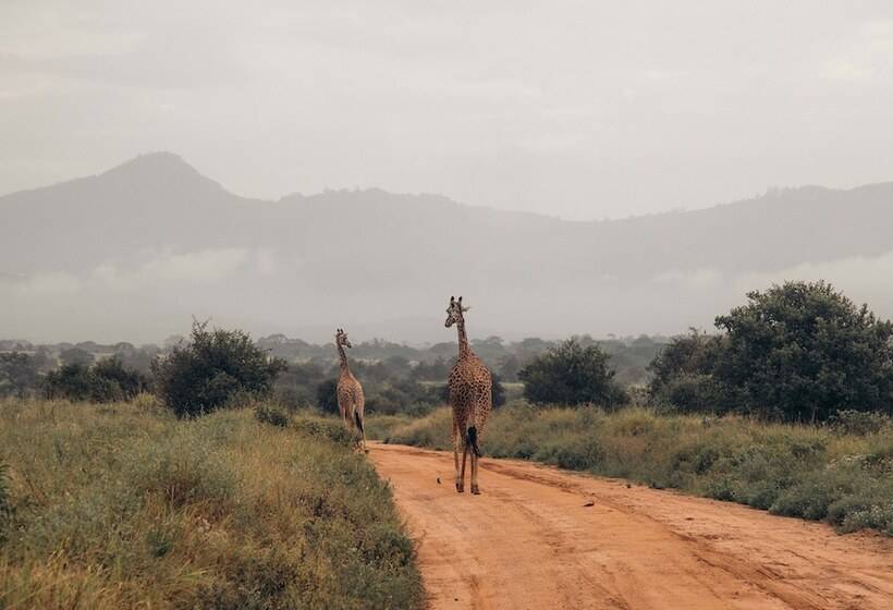 Taita Hills Safari Resort & Spa