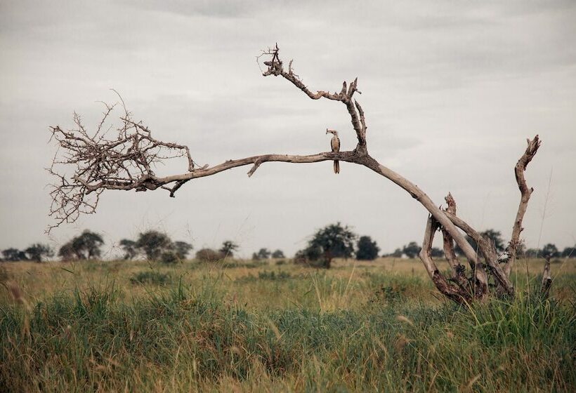 Taita Hills Safari Resort & Spa