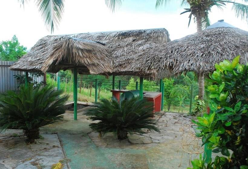 تختخواب و صبحانه Hostal Trujillo