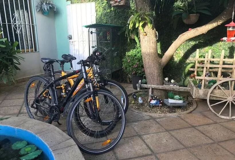 Casa Pedrito Hostal