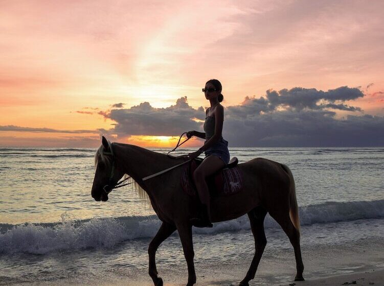 ベッドアンドブレックファースト Casa Kapuas