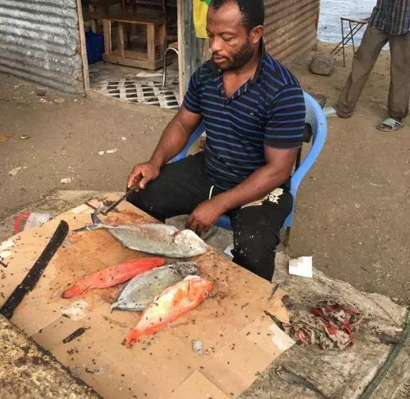 تختخواب و صبحانه Farida Lodge