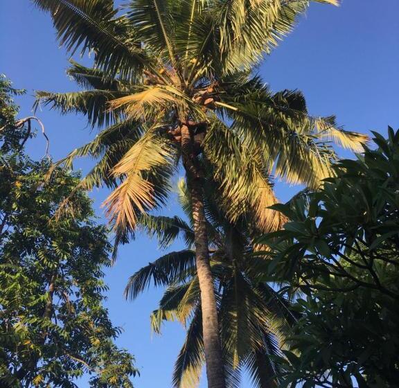 Bed and Breakfast Farida Lodge