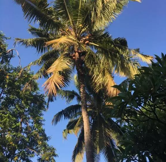 تختخواب و صبحانه Farida Lodge