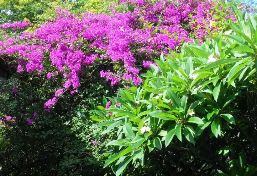 تختخواب و صبحانه Farida Lodge