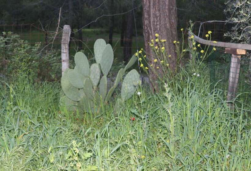 ホテル Fark Edenler Camping&caravan&bungalows