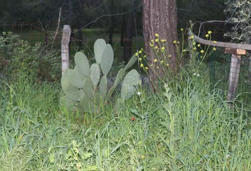 Hotelli Fark Edenler Camping&caravan&bungalows