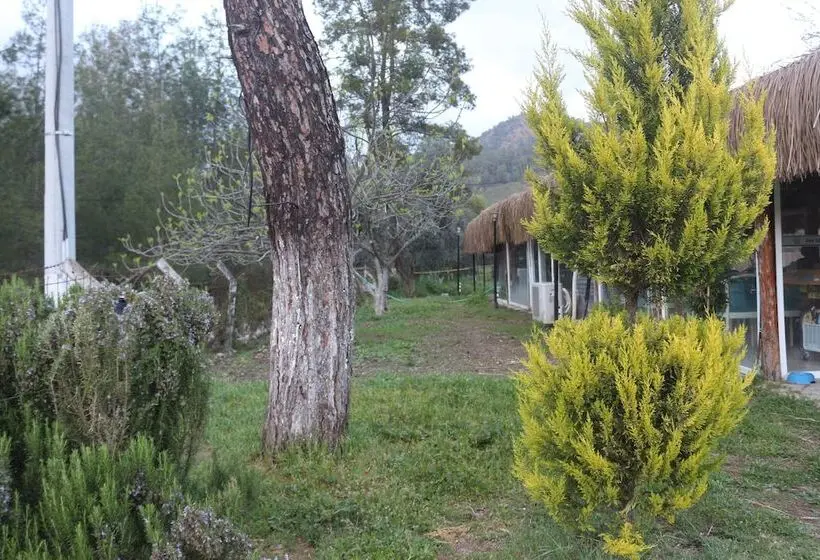 ホテル Fark Edenler Camping&caravan&bungalows