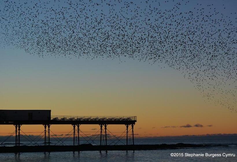 No 47 Marine Terrace