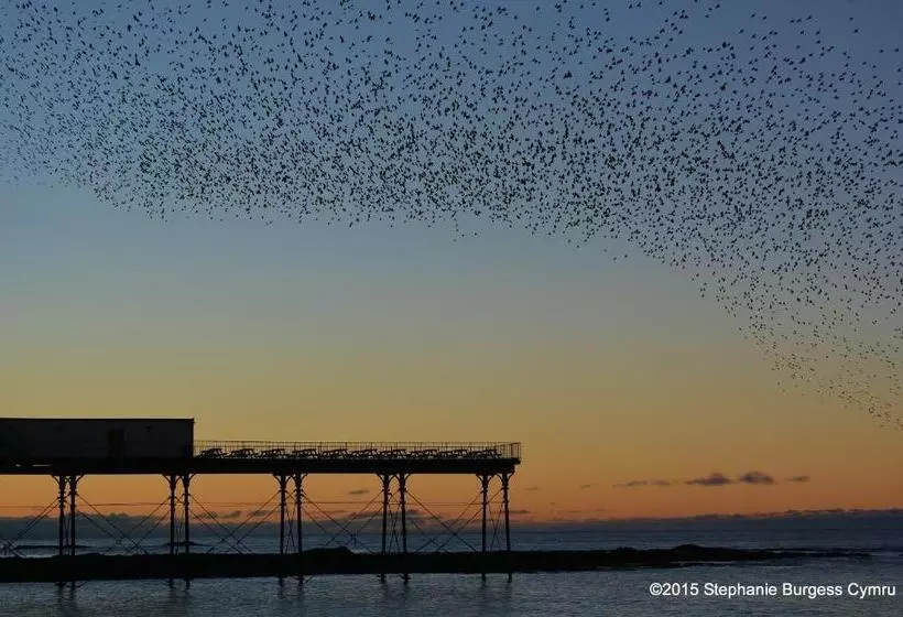 No 47 Marine Terrace