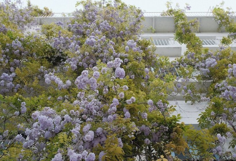 Rooms Hotel - Batumi