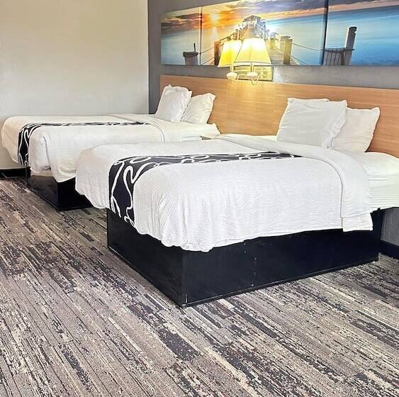 ホテル Dreamland Inn And Suites