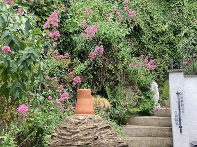 Stable Cottage   Braunton   Sleeps 4   Pet Allowed