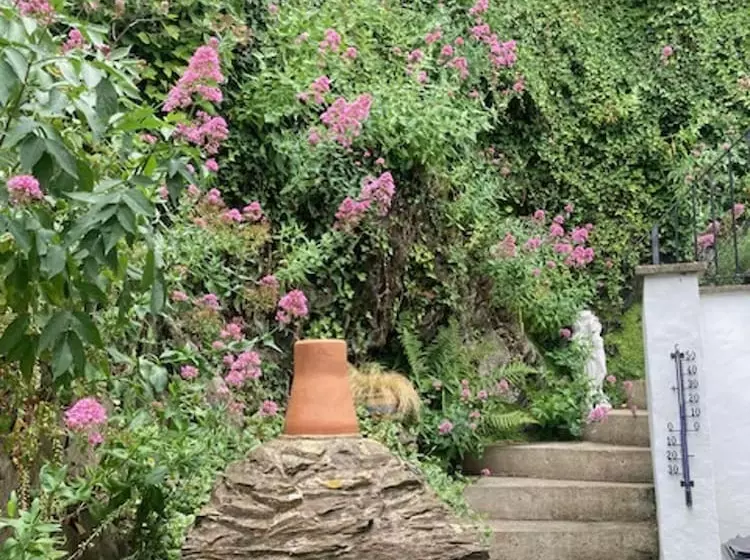 Stable Cottage   Braunton   Sleeps 4   Pet Allowed