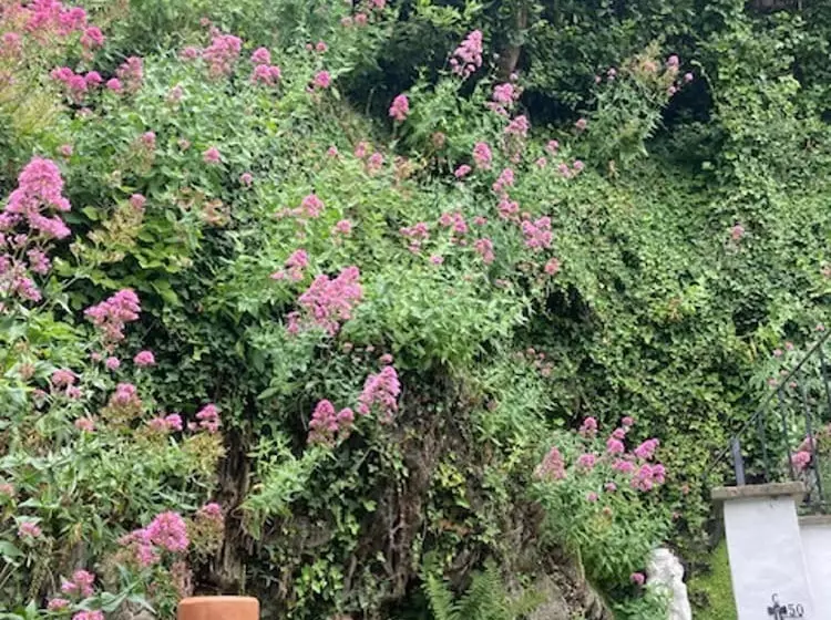 Stable Cottage   Braunton   Sleeps 4   Pet Allowed