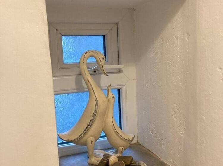 Stable Cottage   Braunton   Sleeps 4   Pet Allowed