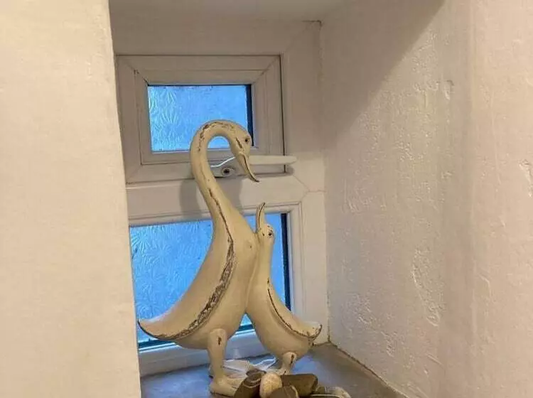 Stable Cottage   Braunton   Sleeps 4   Pet Allowed