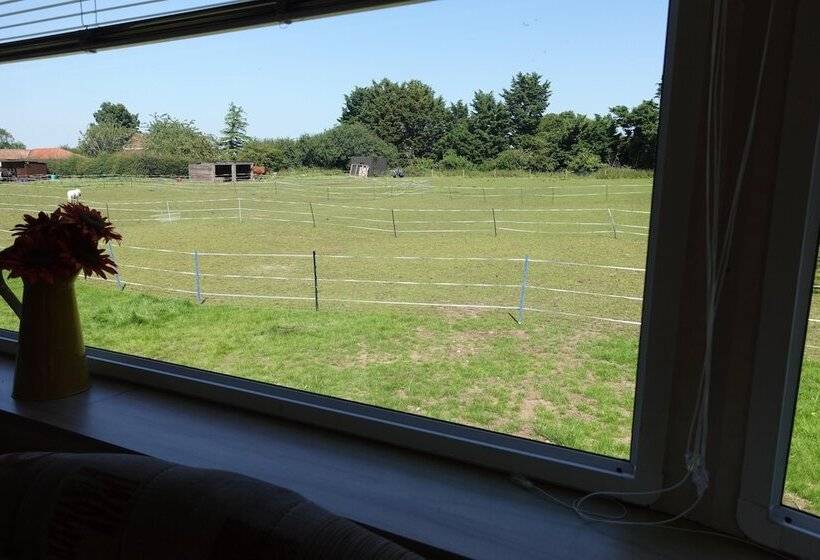 Equestrian Retreat Sleeps 6 & Bbq