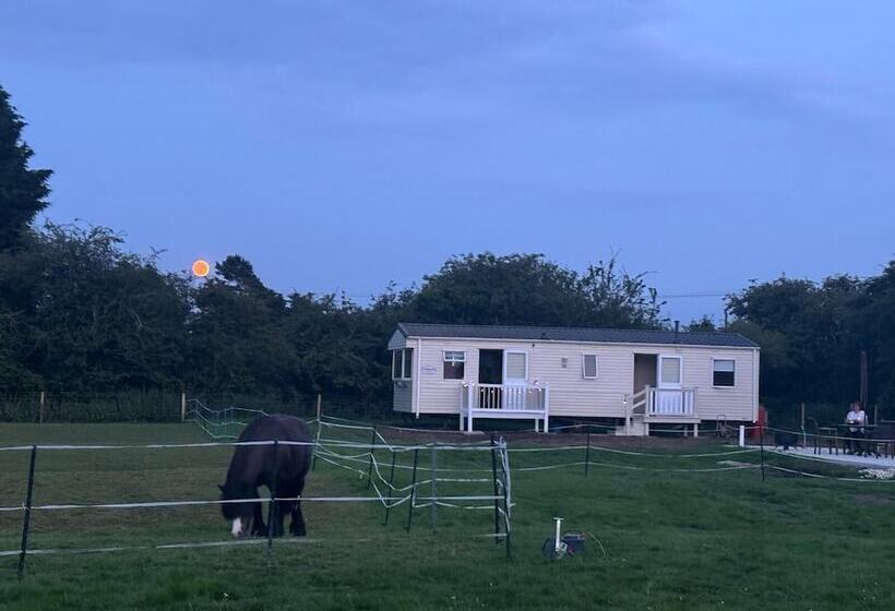 Equestrian Retreat Sleeps 6 & Bbq