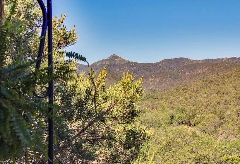 Mountain View Cottage In Nogal Near Nat L Forest!