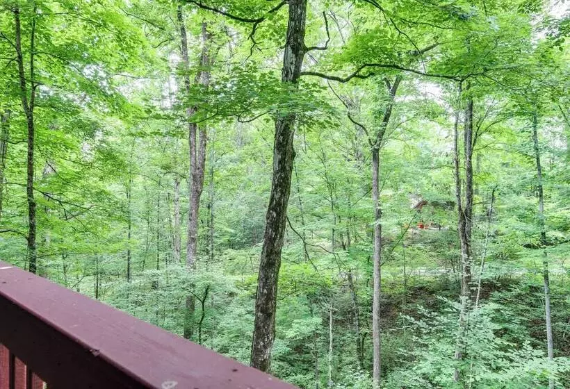 Secluded Cabin W/ Hot Tub   9 Mi To Dollywood!