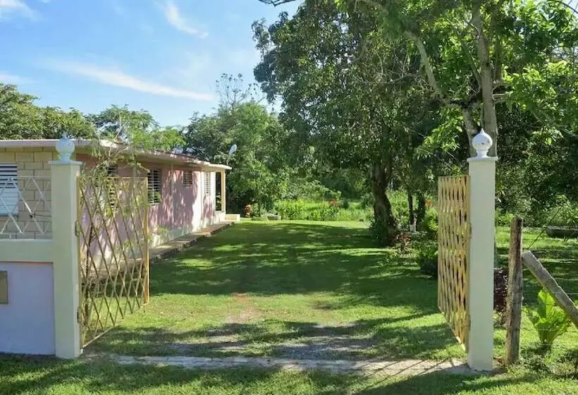 تختخواب و صبحانه Casa Camila