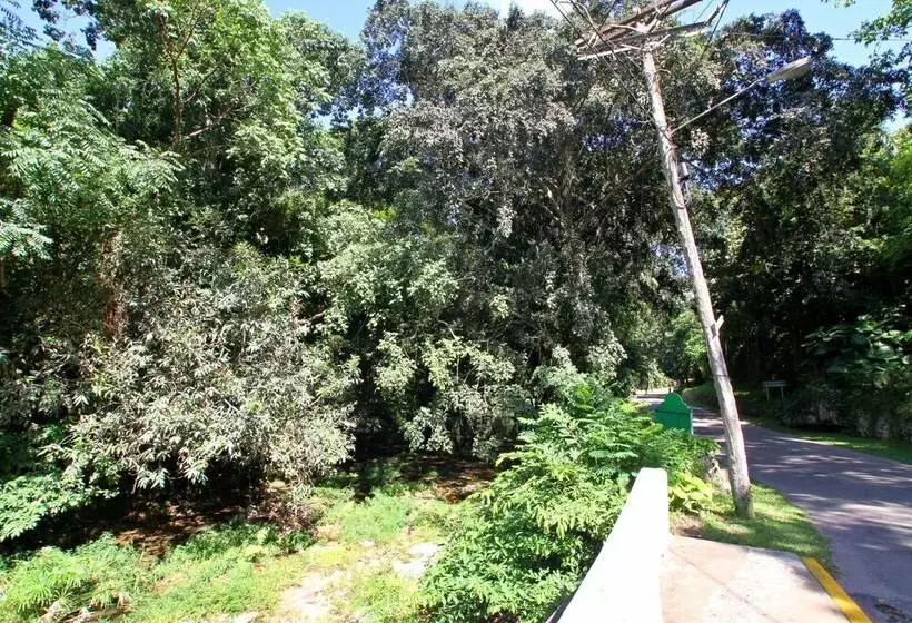 تختخواب و صبحانه Casa Camila
