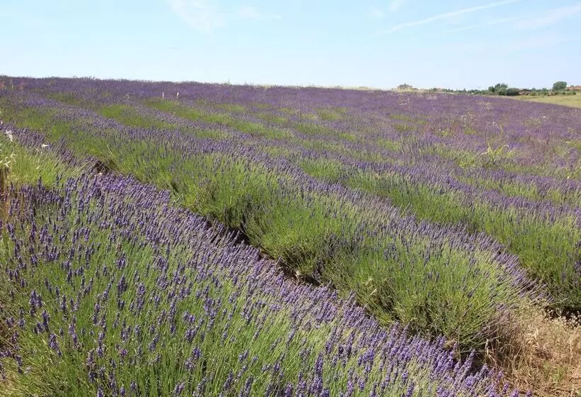 Belvilla By Oyo Lentisco