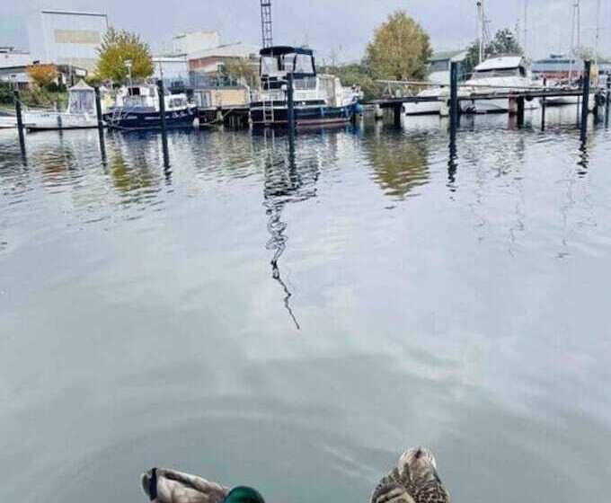 酒店 Ahoy Masal Modern Retreat