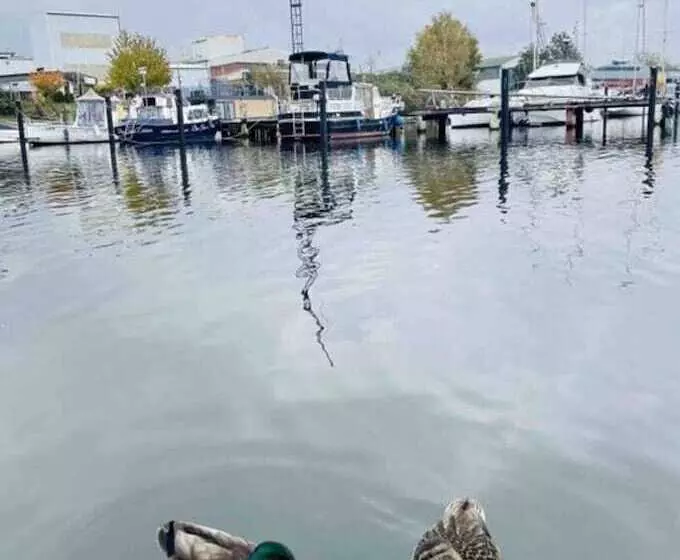 Hotelli Ahoy Masal Modern Retreat