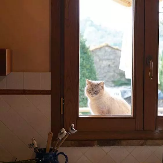 Maaseutuhotelli Agriturismo Podere Le Tombe