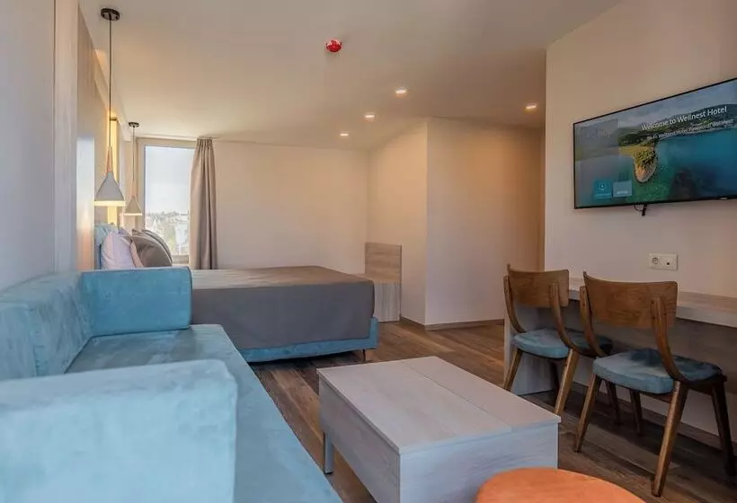 ホテル Wellnest