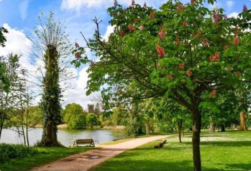 レジデンス Central Ellesmere  Sleeps2   Parking   Petfriendly