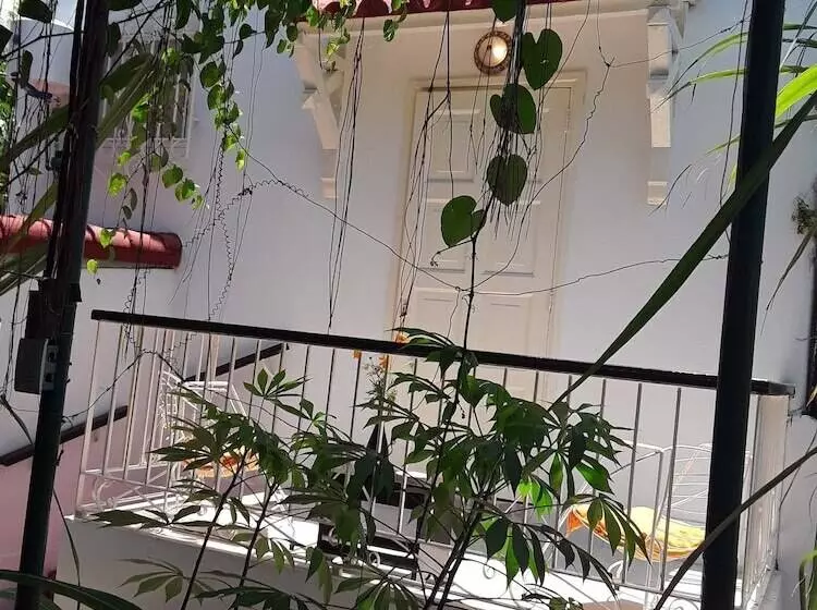ペンション Hostal La Hiedra