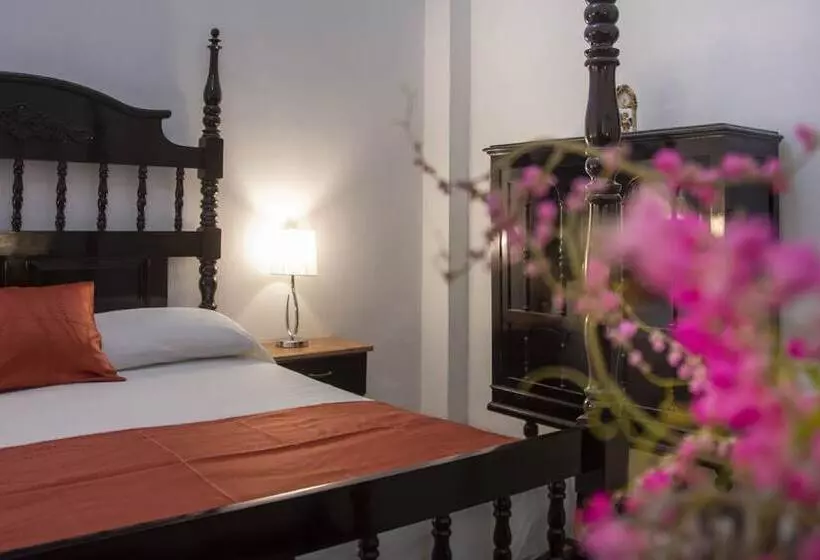 ペンション Hostal La Hiedra