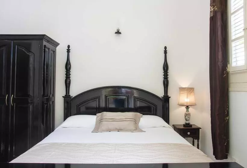 ペンション Hostal La Hiedra