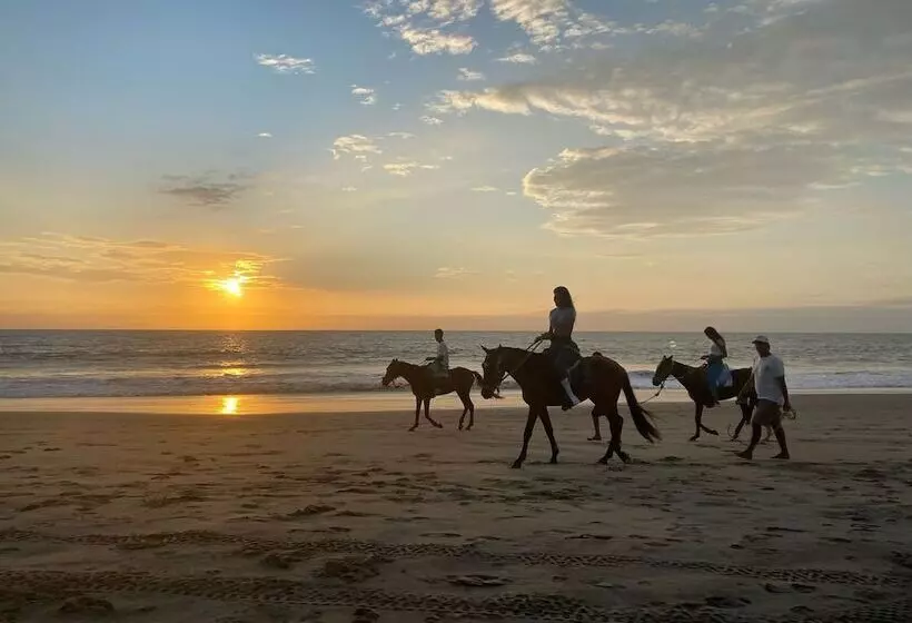هتل Royal Mancora