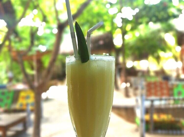 Hostel Sagando Bungalows