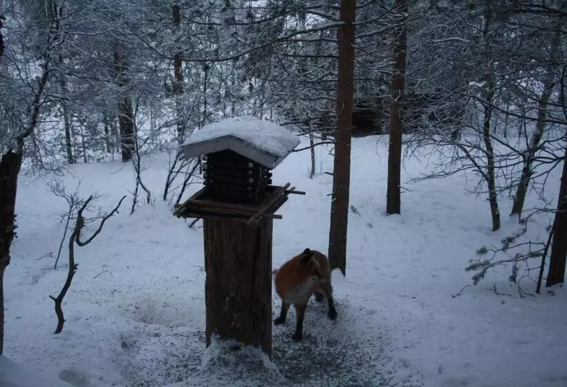 Aamiaismajoitus (B&B) Neljän Tuulen Tupa